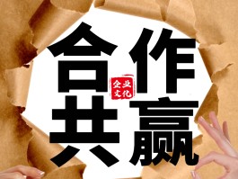 团队合作共赢：创造传奇历程